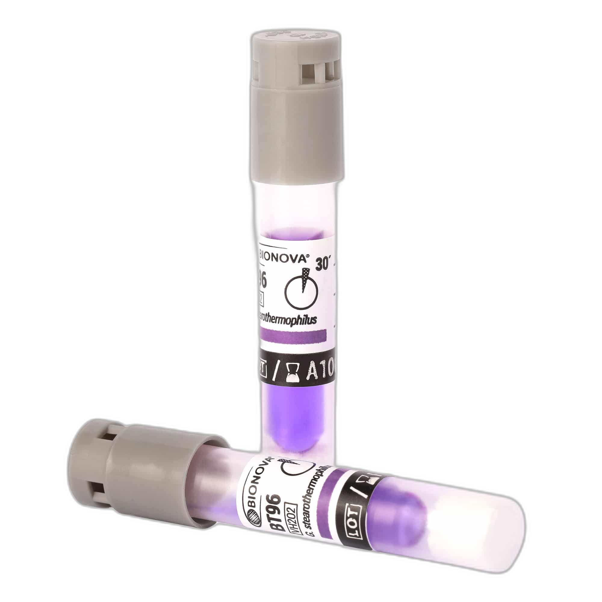 BT96 — Indicador biológico para vapor de agua